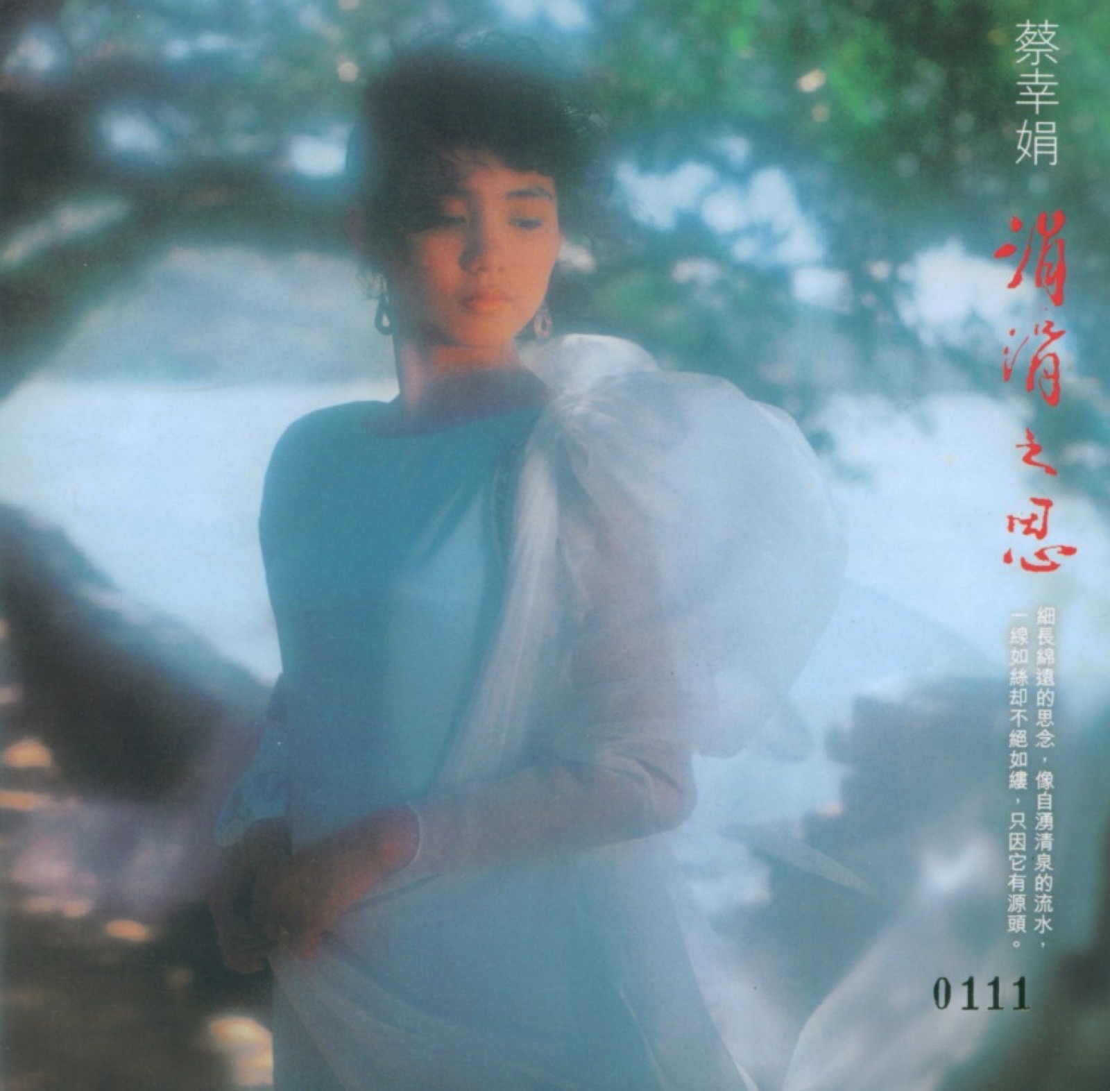 1985 涓涓之思 專輯封面