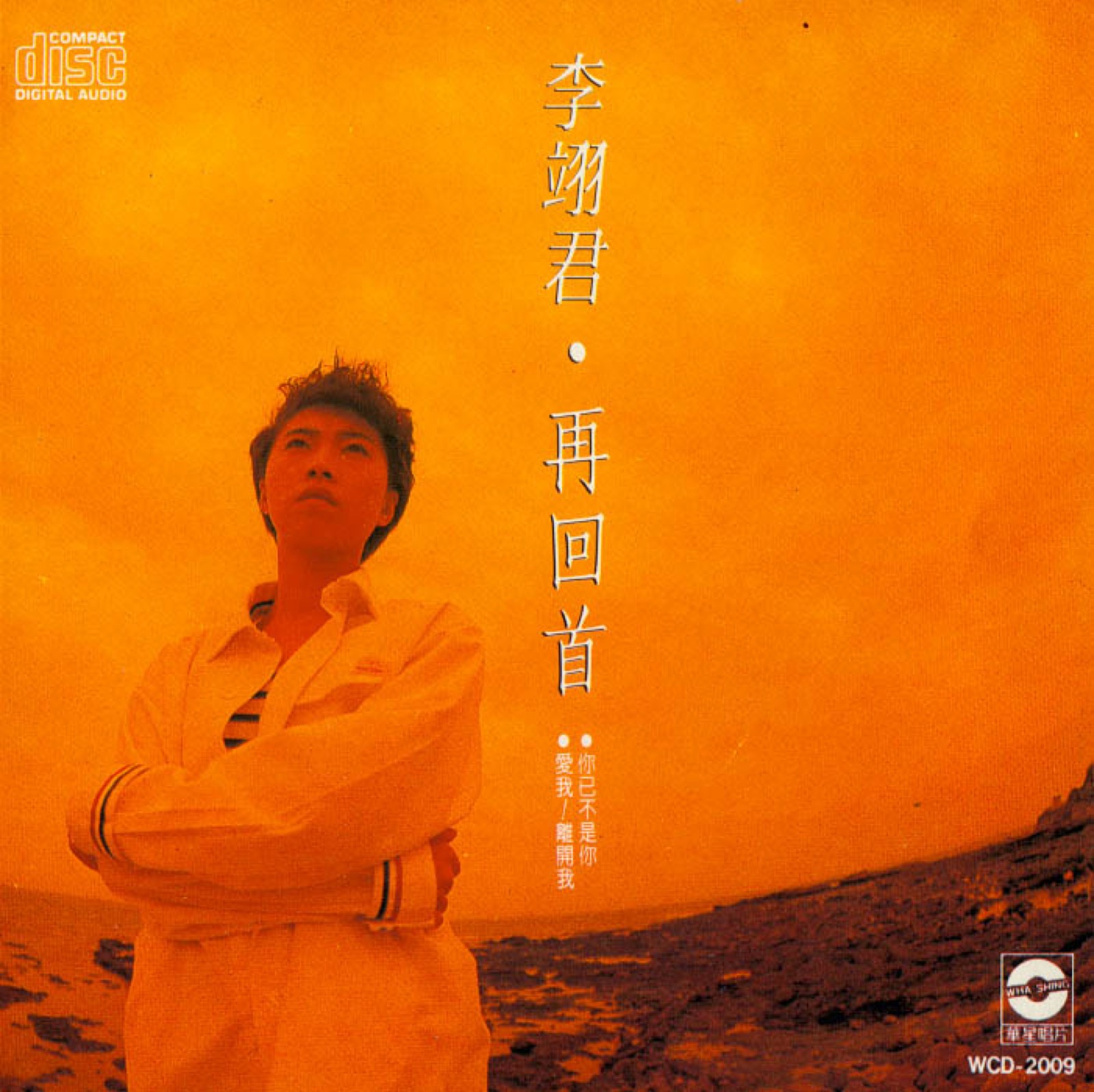 1989 再回首 專輯封面