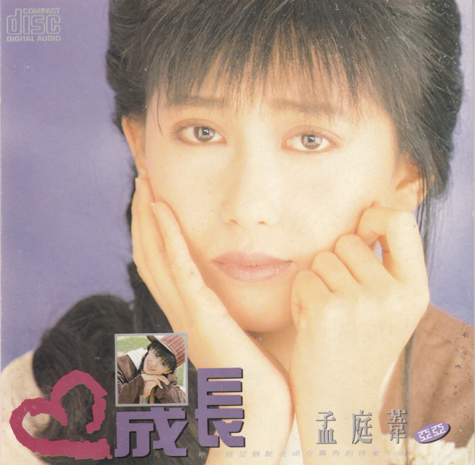 1990 成長 專輯封面