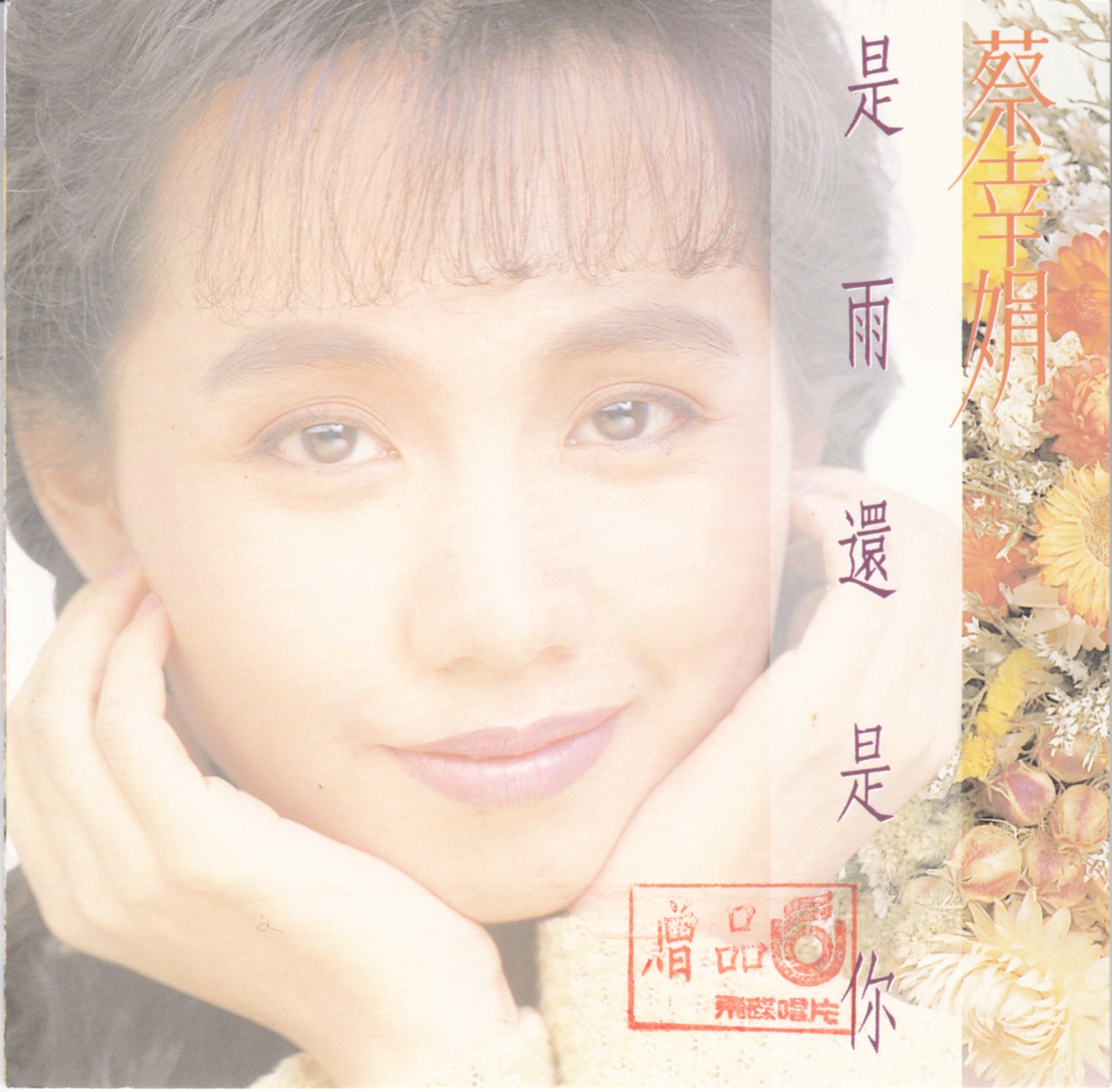 1990 是雨還是你 專輯封面