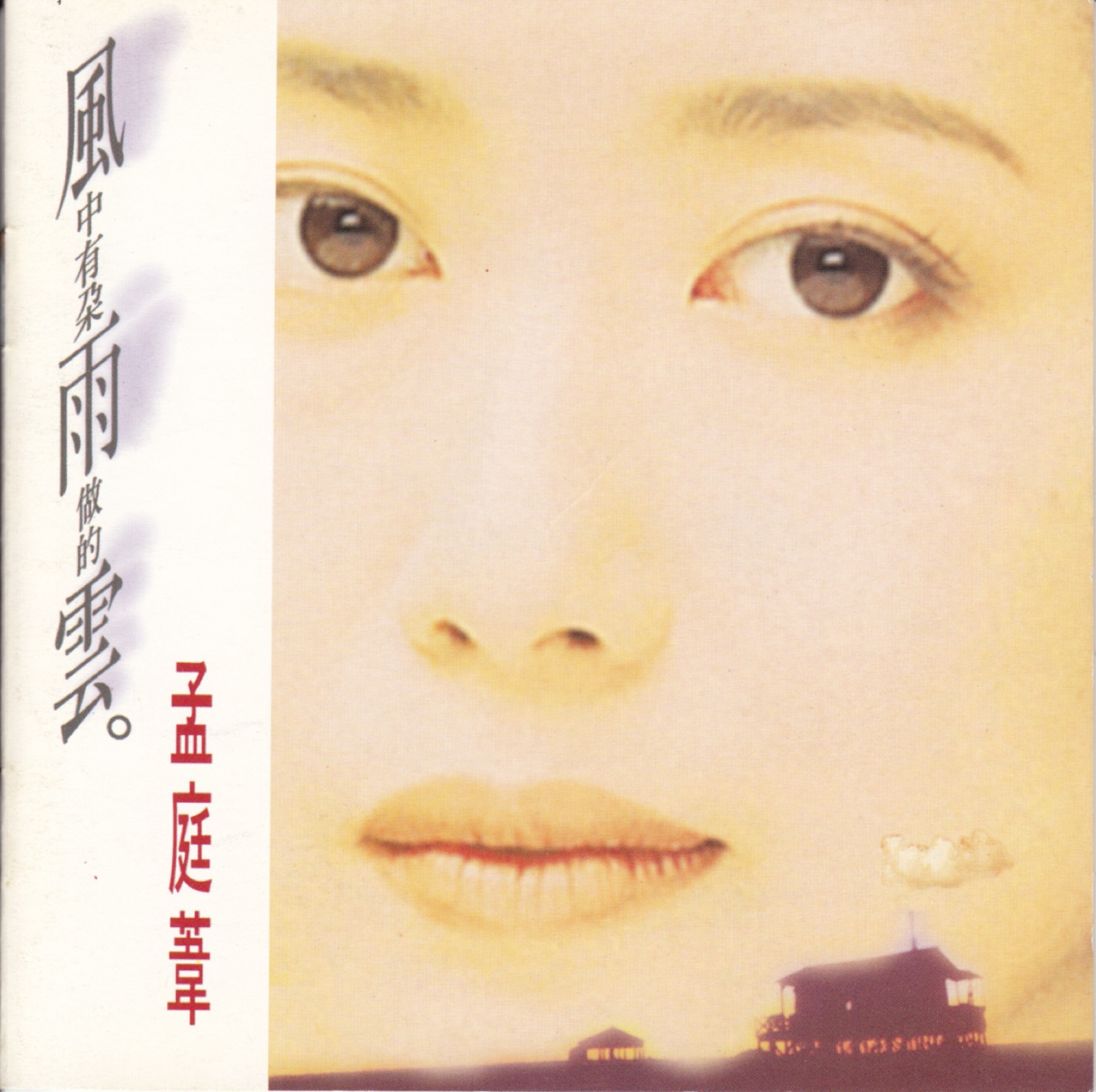 1993 風中有朵雨做的雲 專輯封面