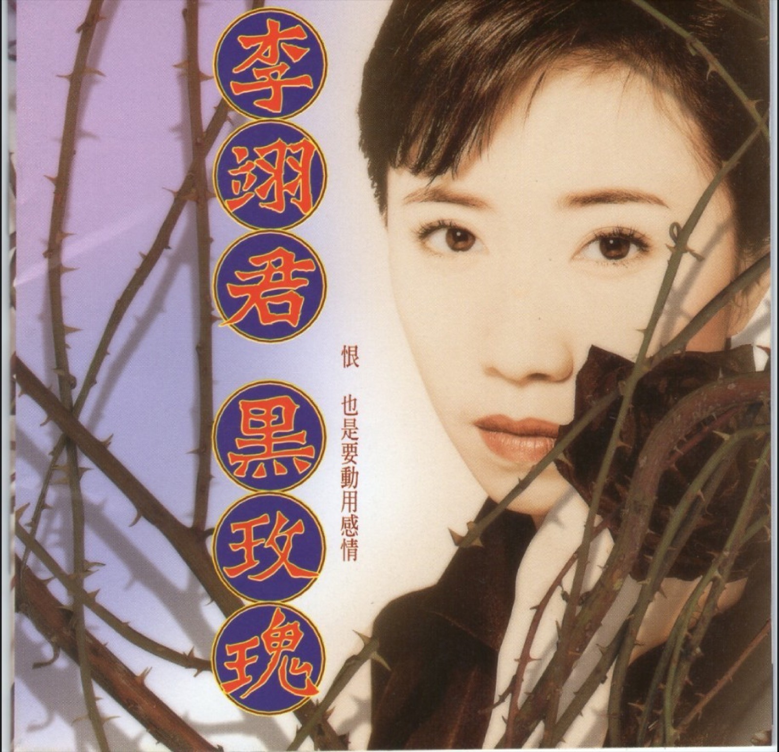 1994 黑玫瑰 專輯封面