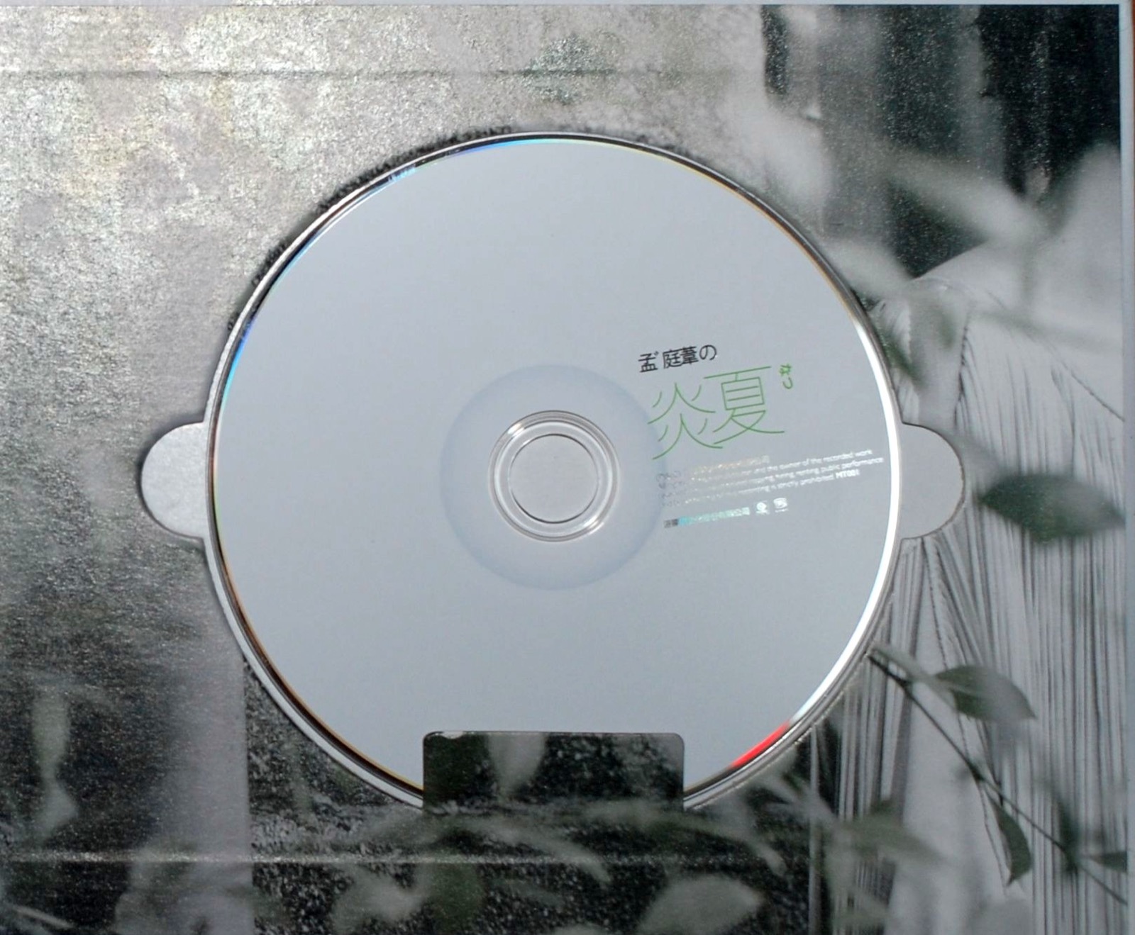 2009 孟庭葦的炎夏 光碟片