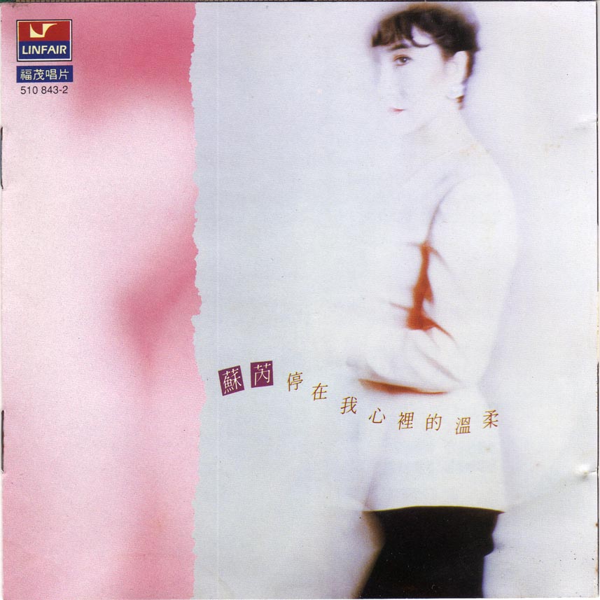 1991 停在我心裡的溫柔 專輯封面