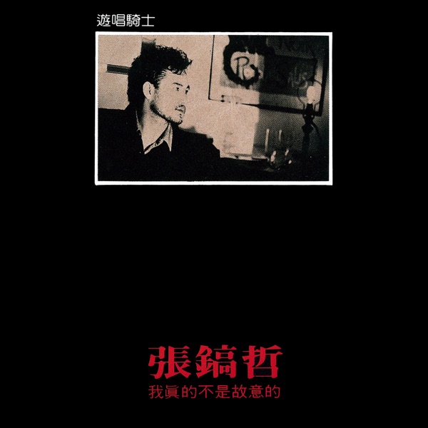 張鎬哲《我真的不是故意的》（1987）專輯封面