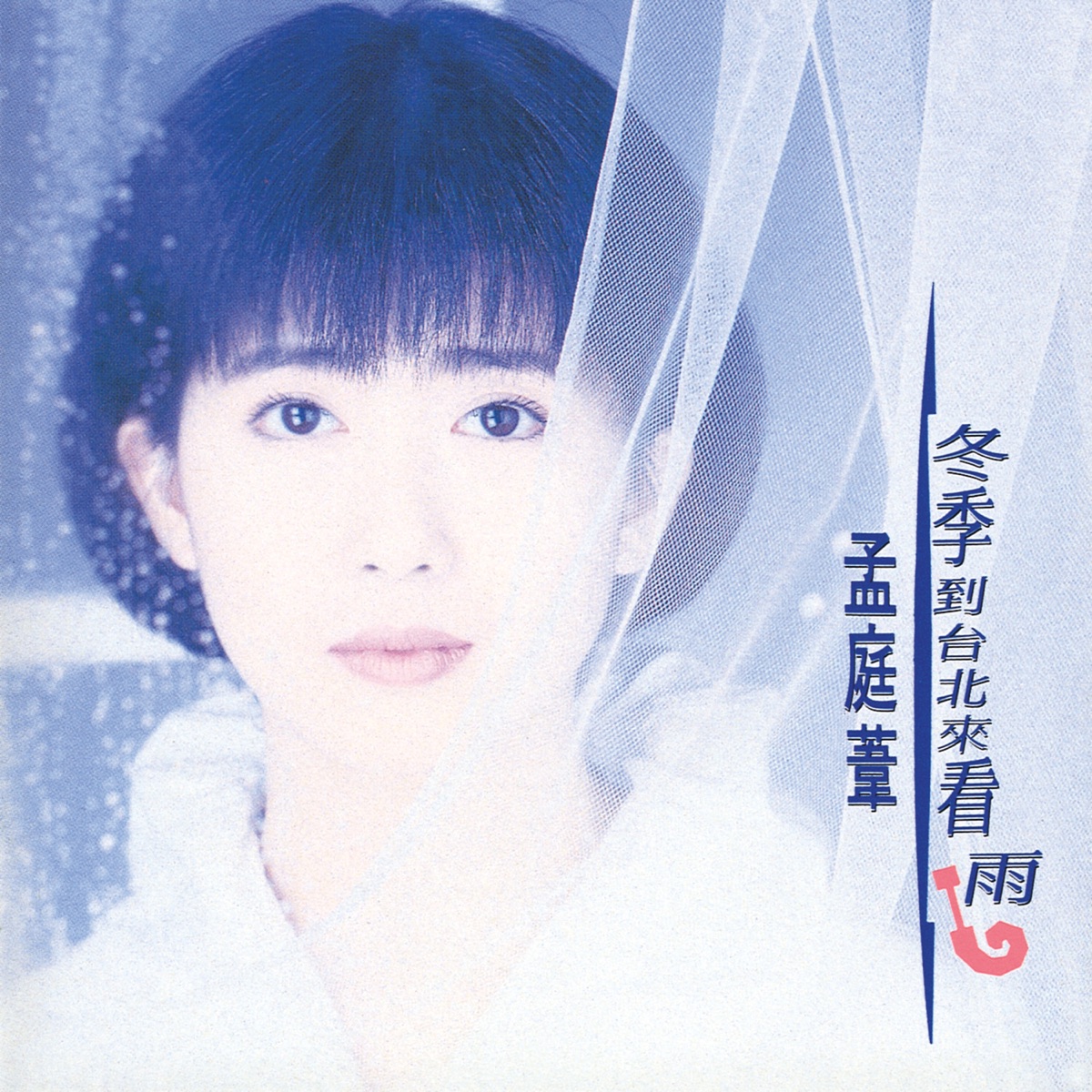 冬季到台北來看雨