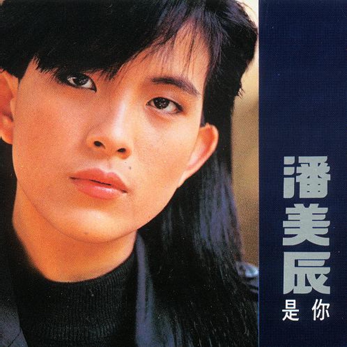 潘美辰《是你》（1989）專輯封面